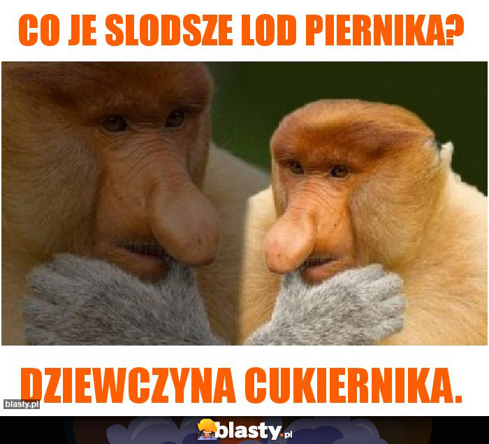 Co je slodsze lod piernika?