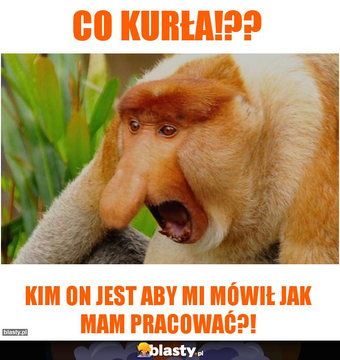 Co kurła!??