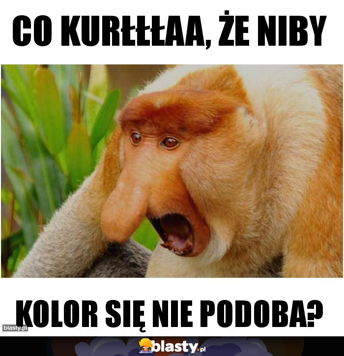 co kurłłłaa, że niby