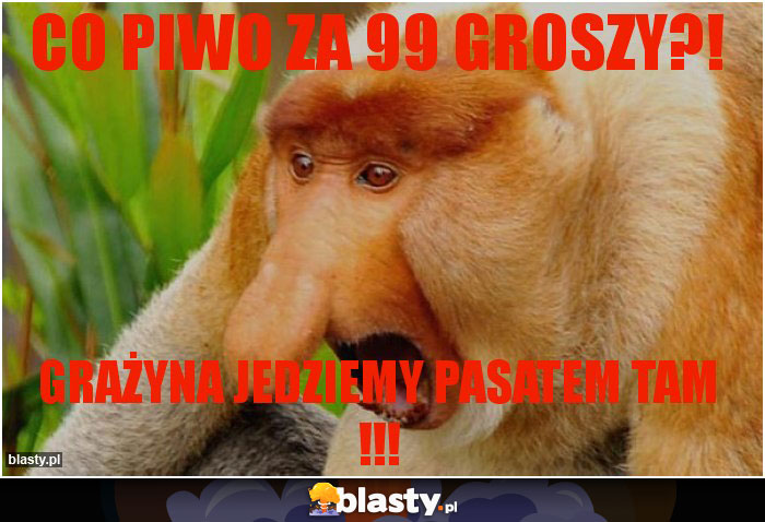 Co piwo za 99 groszy?!