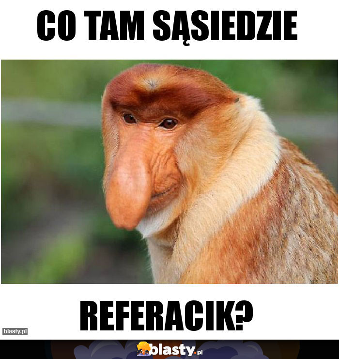 Co tam sąsiedzie