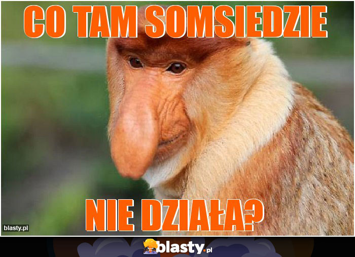 Co tam somsiedzie