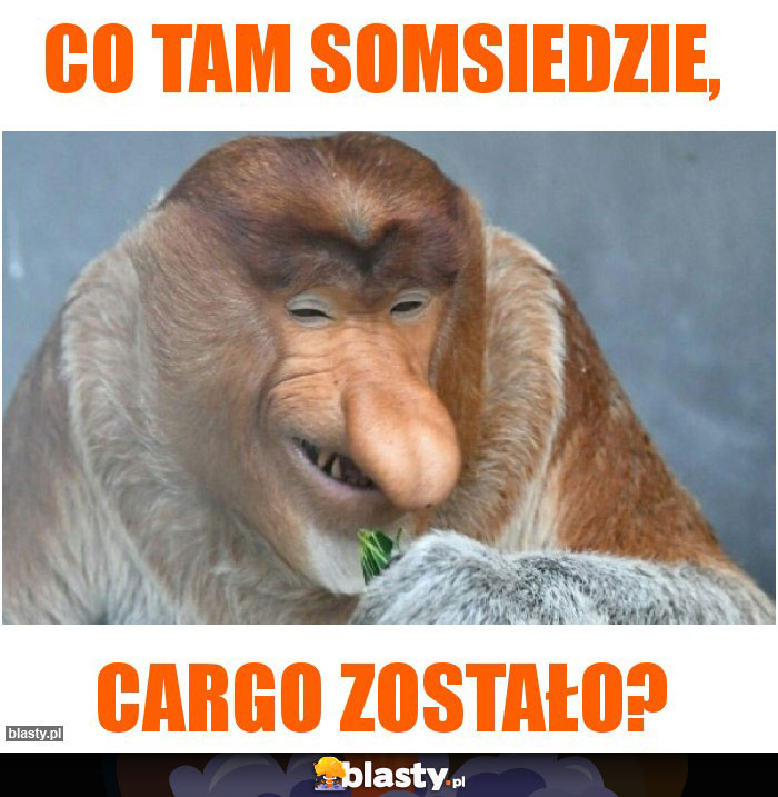 CO TAM SOMSIEDZIE,