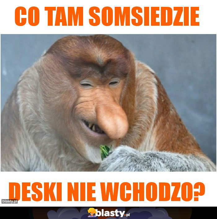 CO TAM SOMSIEDZIE