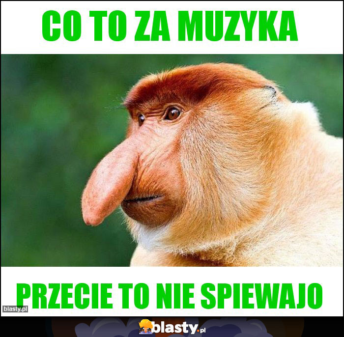 co to za muzyka