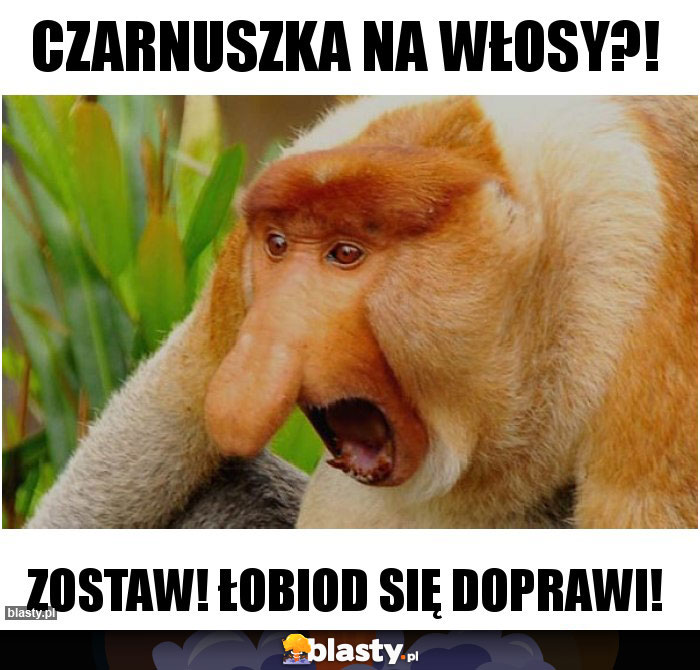 Czarnuszka na włosy?!