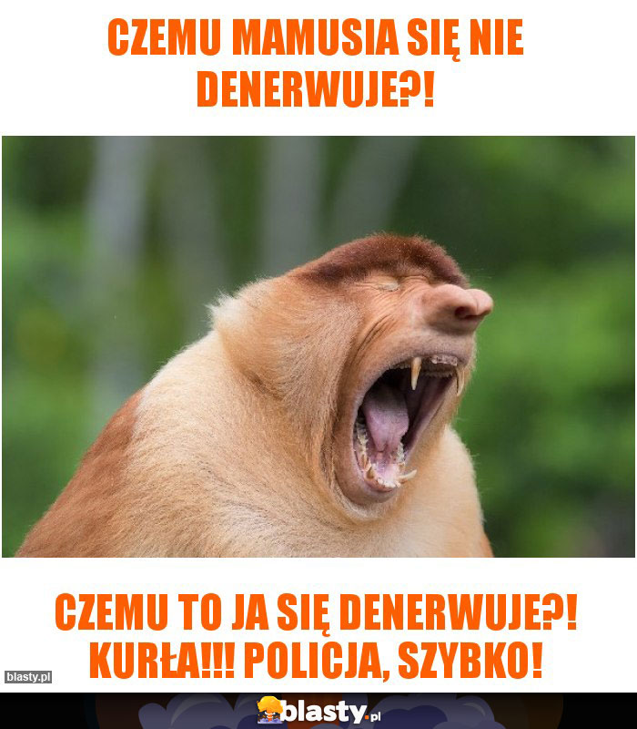 Czemu Mamusia się nie denerwuje?!