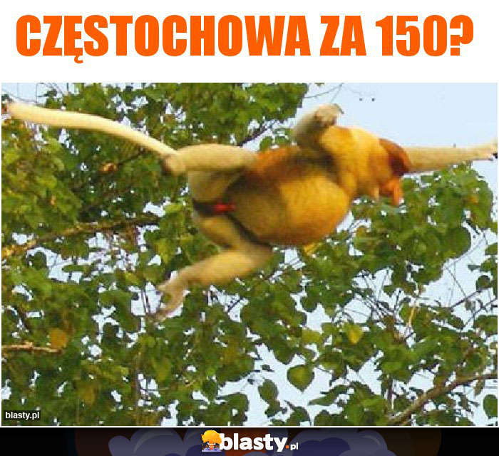 Częstochowa za 150?