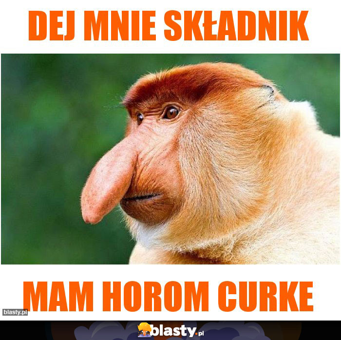 dej mnie składnik