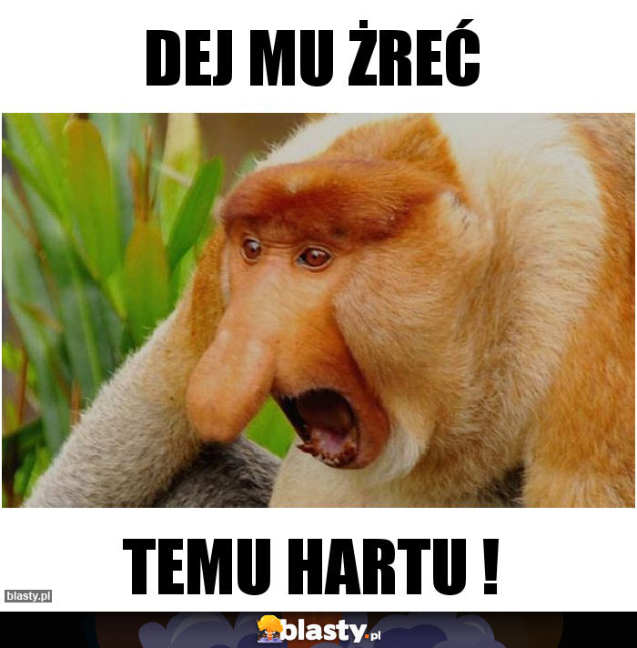 Dej mu żreć