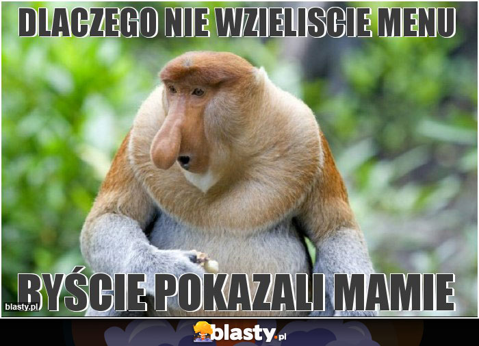 Dlaczego nie wzieliscie menu