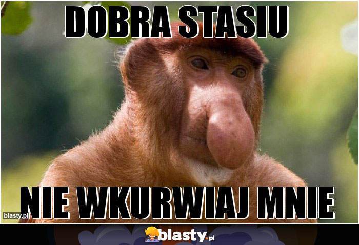 Dobra stasiu