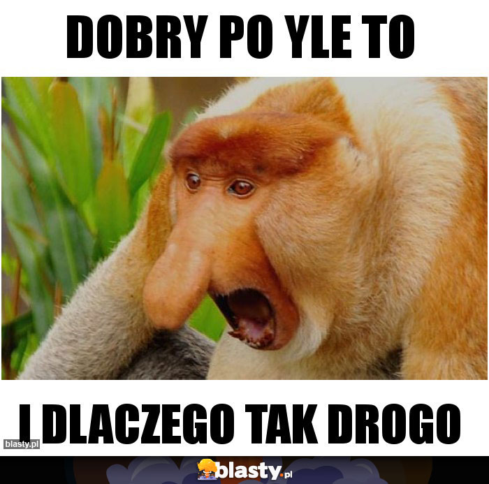 Dobry po yle to