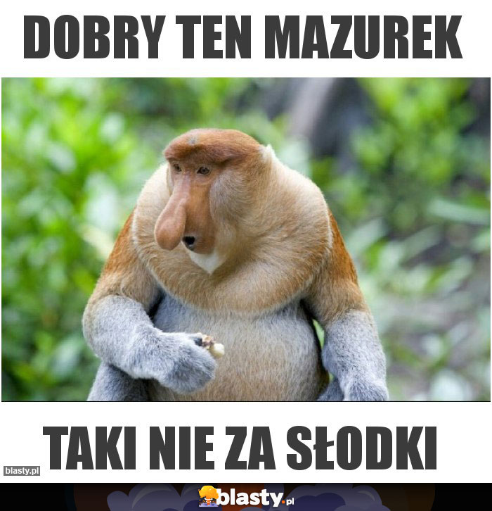 dobry ten mazurek