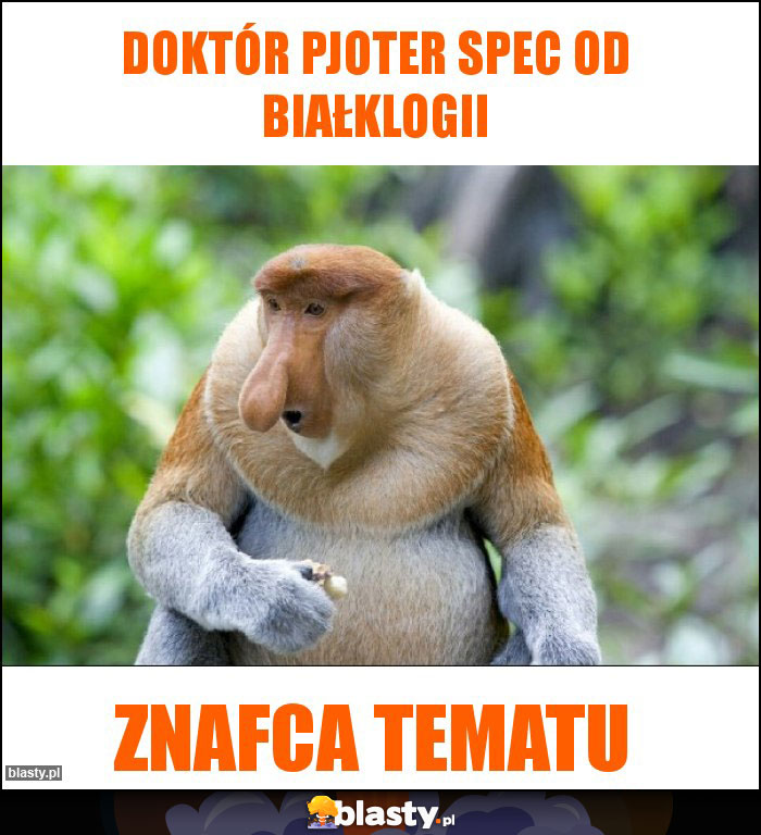 Doktór Pjoter Spec od białklogii