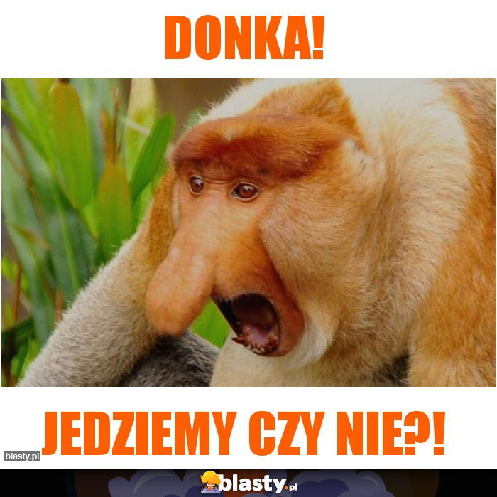 Donka!