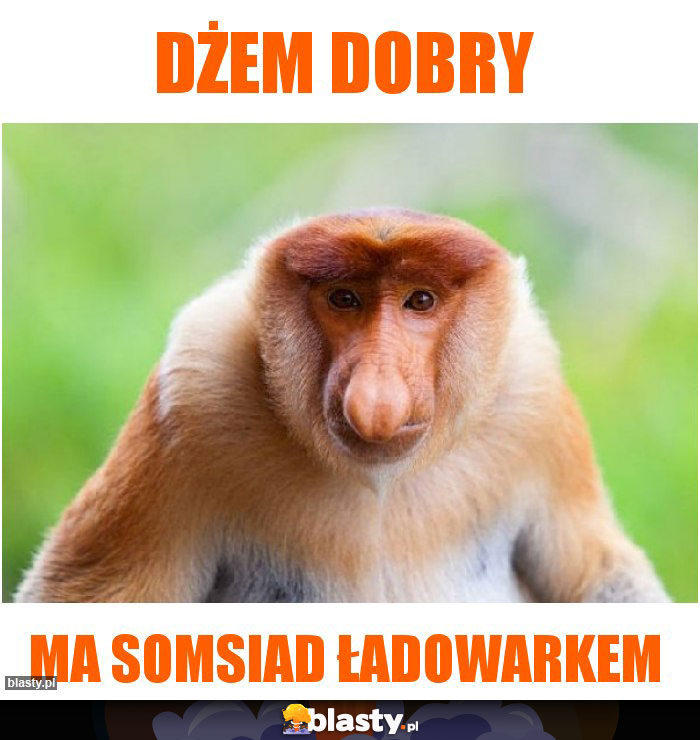 DŻEM DOBRY