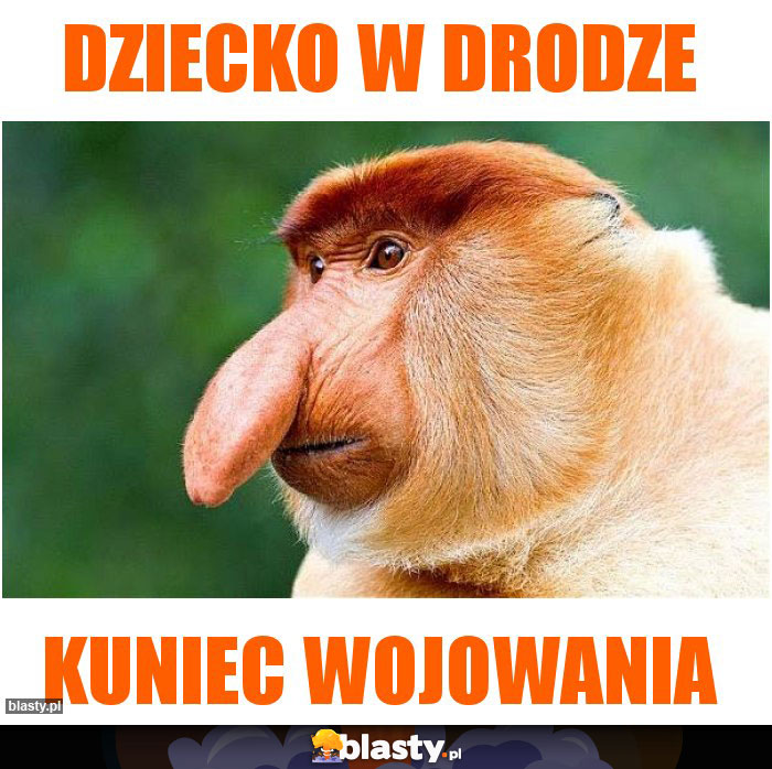 dziecko w drodze