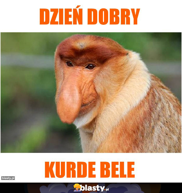 Dzień dobry