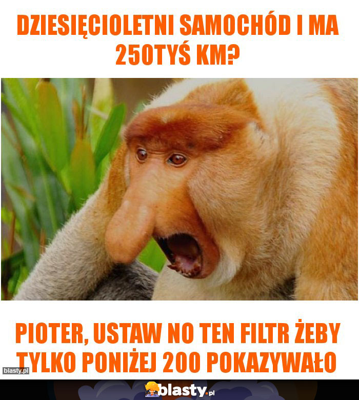 Dziesięcioletni samochód i ma 250tyś km?