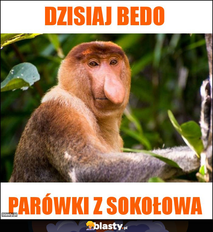 DZISIAJ BEDO