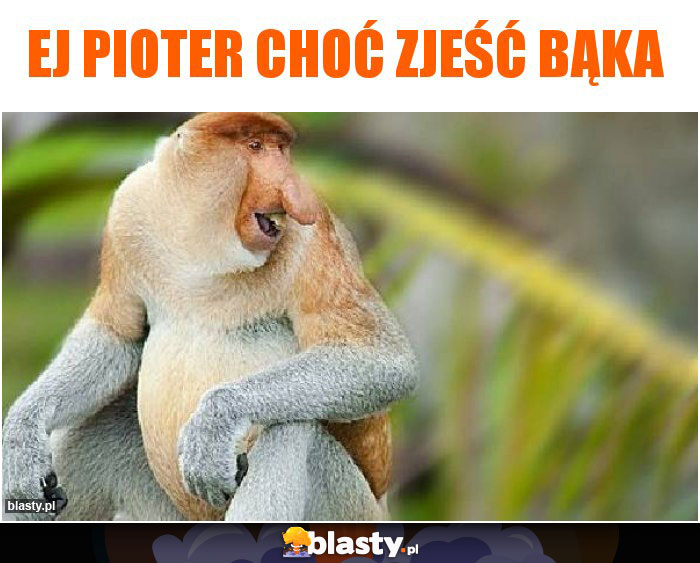 Ej pioter choć zjeść bąka