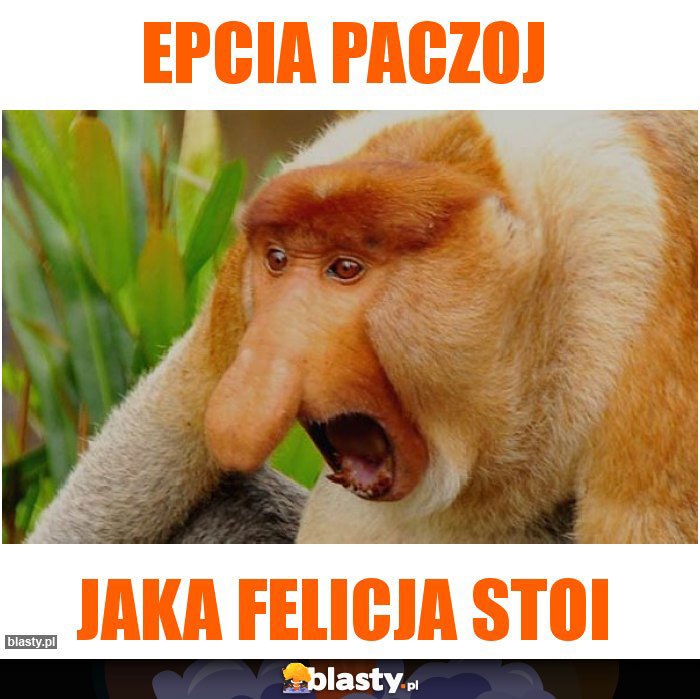 Epcia paczoj