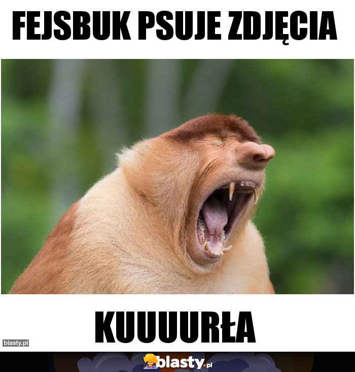 FEJSBUK PSUJE ZDJĘCIA