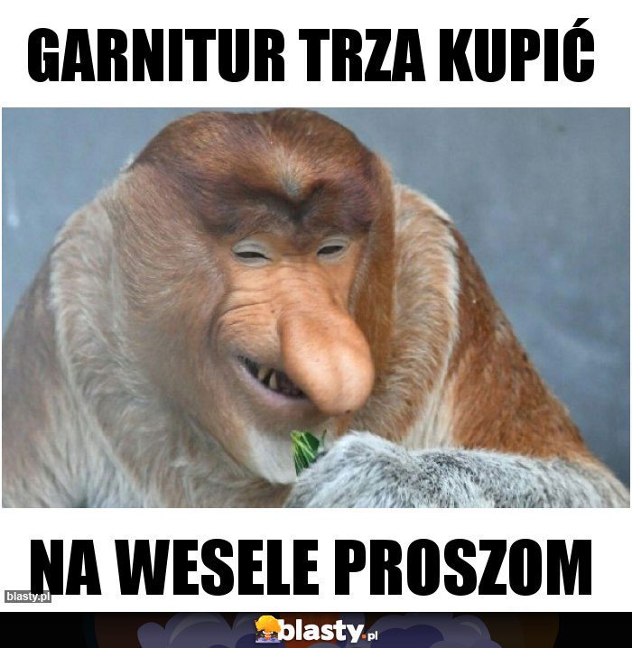 Garnitur trza kupić