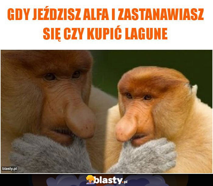 Gdy jeździsz Alfa i zastanawiasz się czy kupić lagune