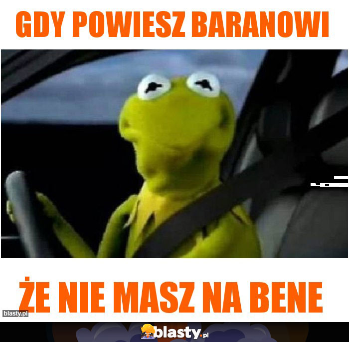 Gdy powiesz baranowi