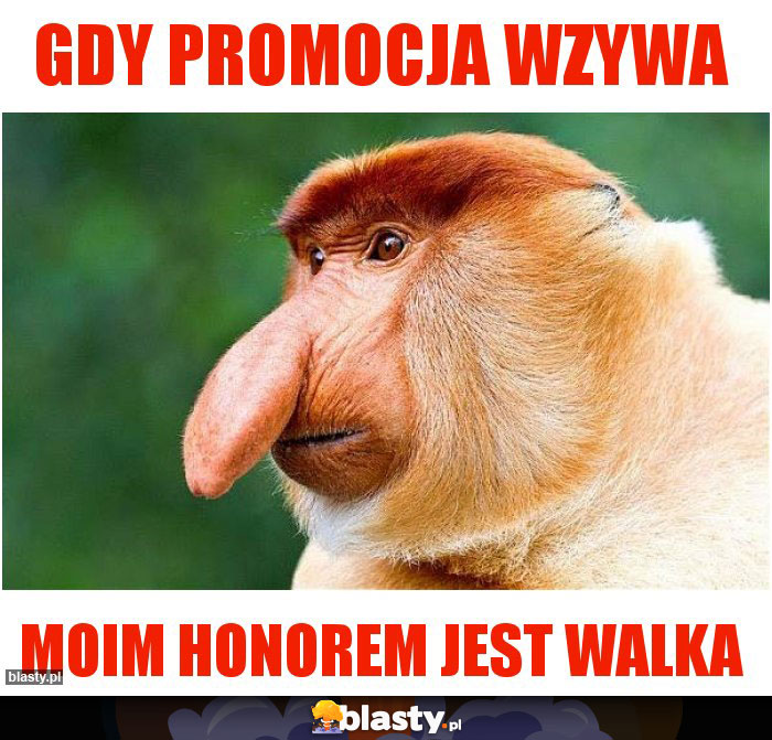 Gdy promocja wzywa