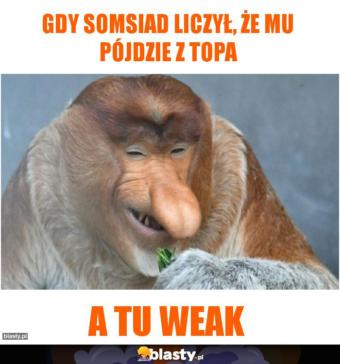 Gdy somsiad liczył, że mu pójdzie z topa