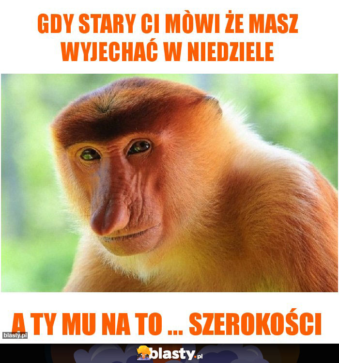 GDY STARY CI MÒWI ŻE MASZ WYJECHAĆ W NIEDZIELE