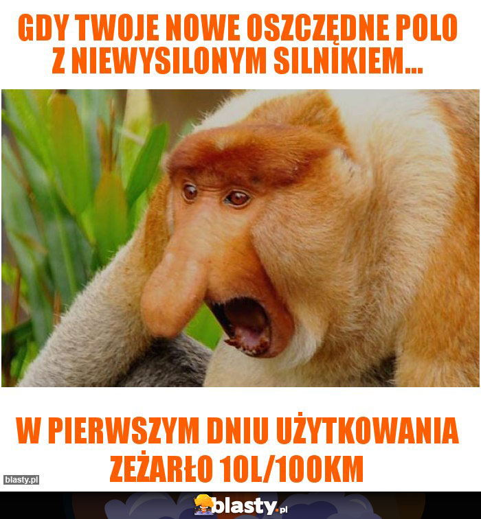 Gdy twoje nowe oszczędne polo z niewysilonym silnikiem...