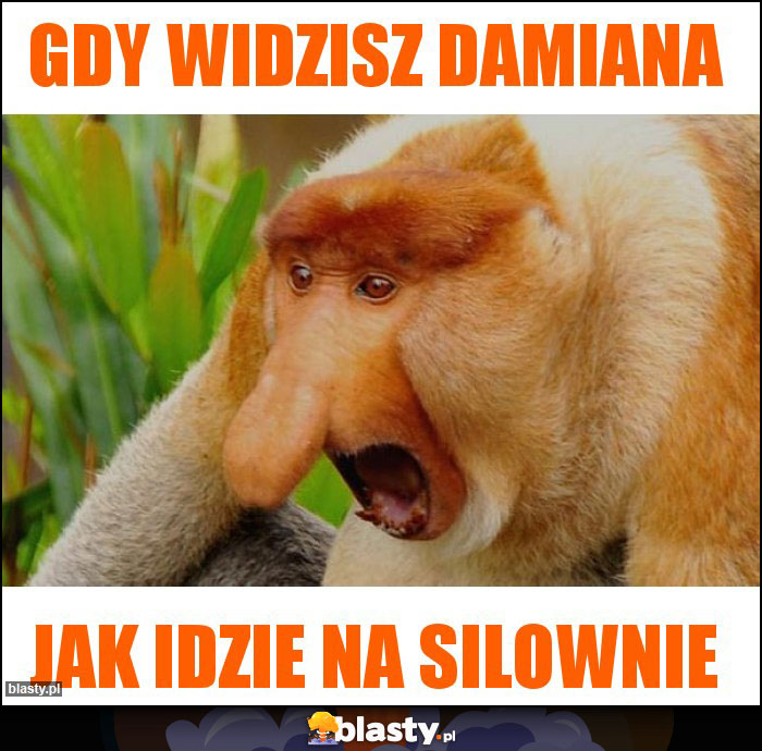 Gdy widzisz Damiana