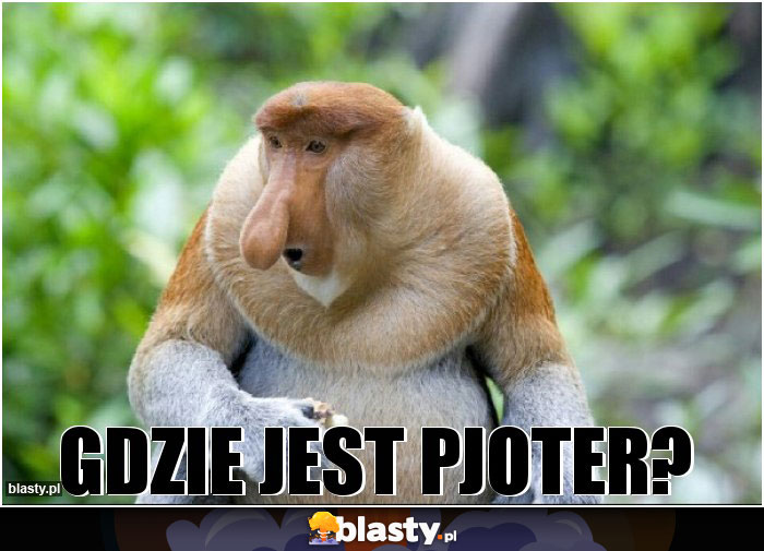 GDZIE JEST PJOTER?