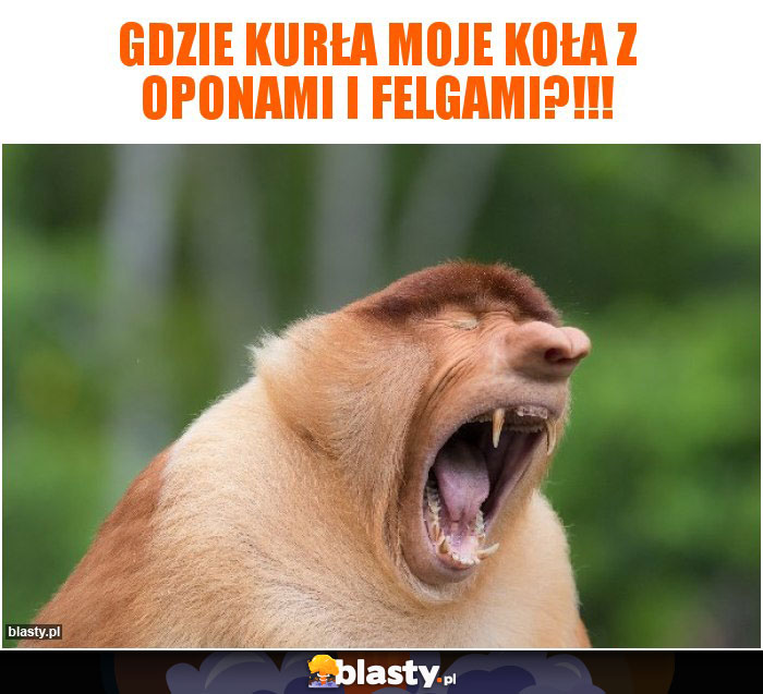 Gdzie kurła moje koła z oponami i felgami?!!!