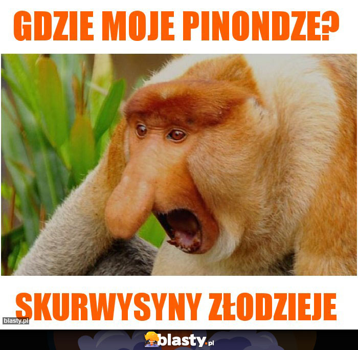 gdzie moje pinondze?