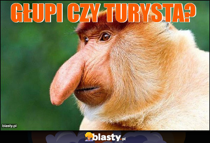 głupi czy turysta?