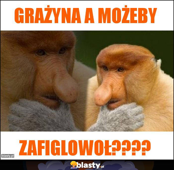 Grażyna a możeby