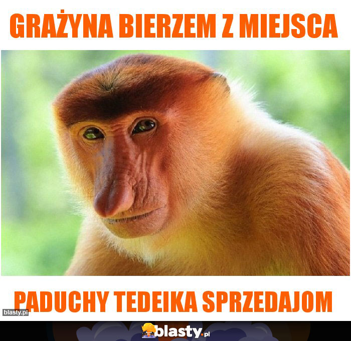 Grażyna bierzem z miejsca