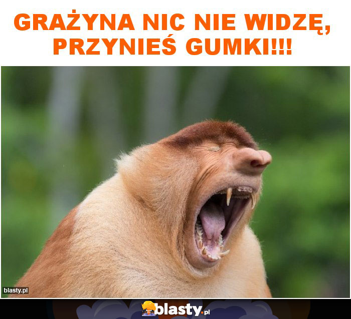 Grażyna nic nie widzę, przynieś gumki!!!