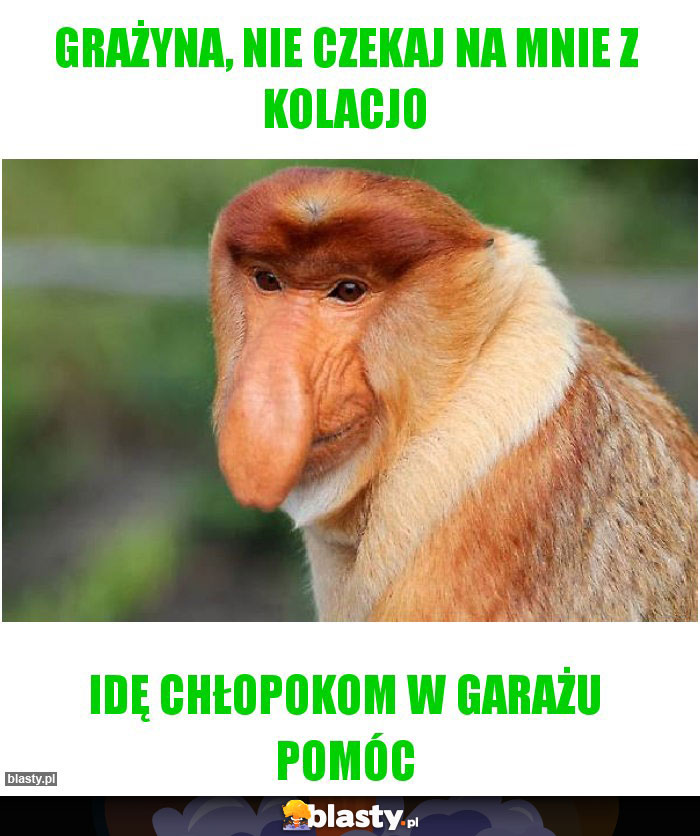 Grażyna, nie czekaj na mnie z kolacjo