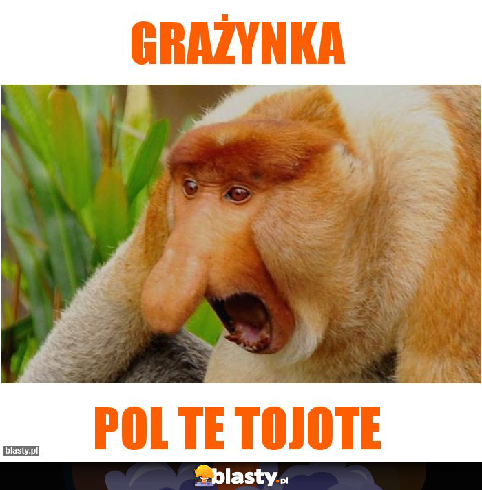 Grażynka