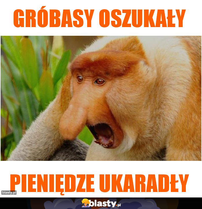 gróbasy oszukały