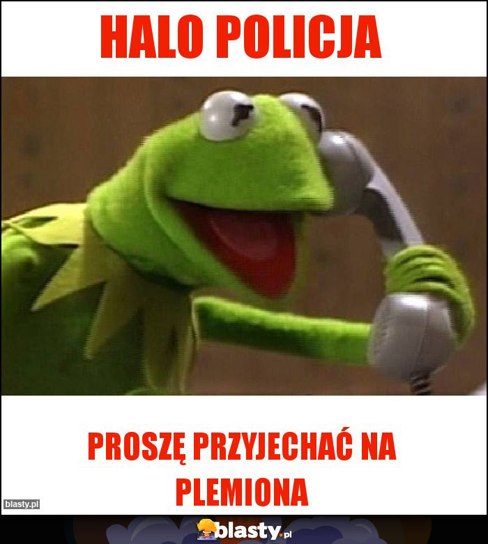 HALO POLICJA