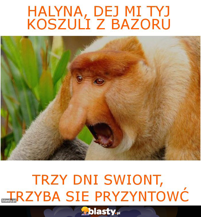 Halyna, dej mi tyj koszuli z bazoru