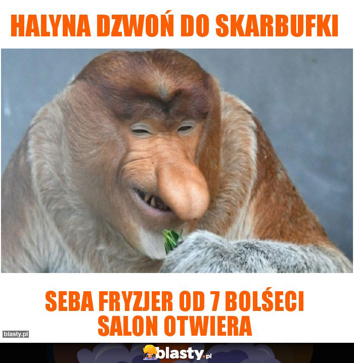 Halyna dzwoń do skarbufki