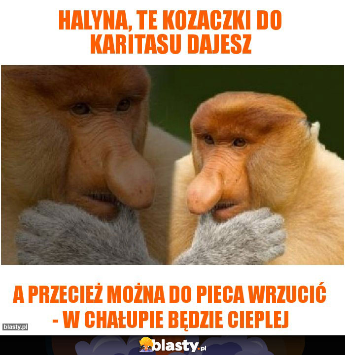 Halyna, te kozaczki do Karitasu dajesz